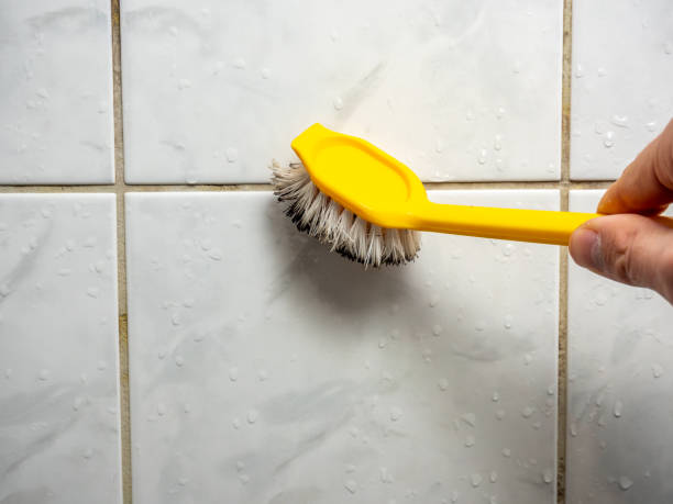 Best Mold Damage Repair  in Garner, NC