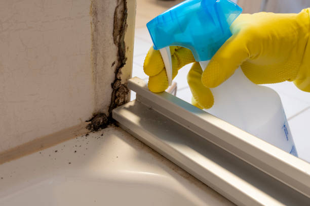 Best Certified Mold Removal  in Garner, NC