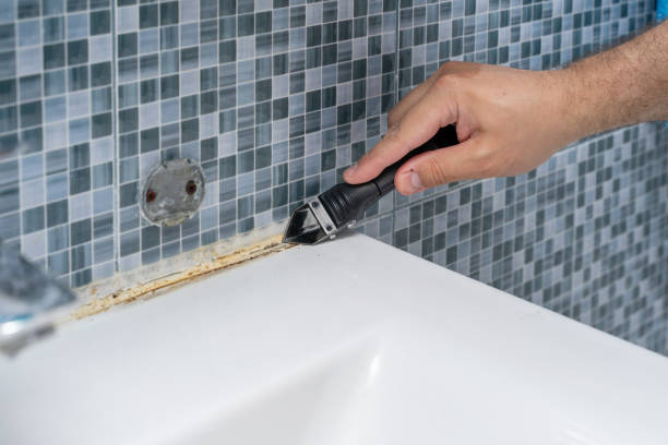 Professional Mold Removal in Garner, NC