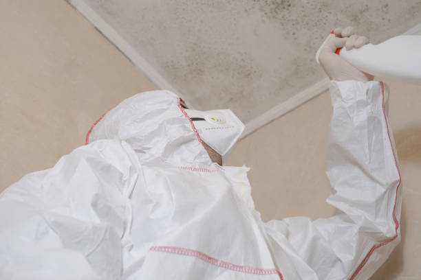 Best Best Mold Removal Companies  in Garner, NC