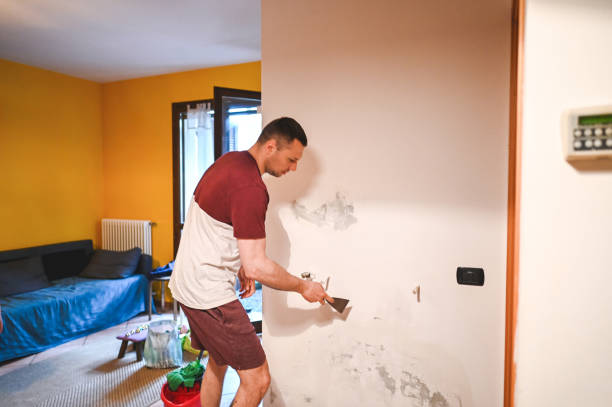 Best Mold Removal Company Near Me  in Garner, NC