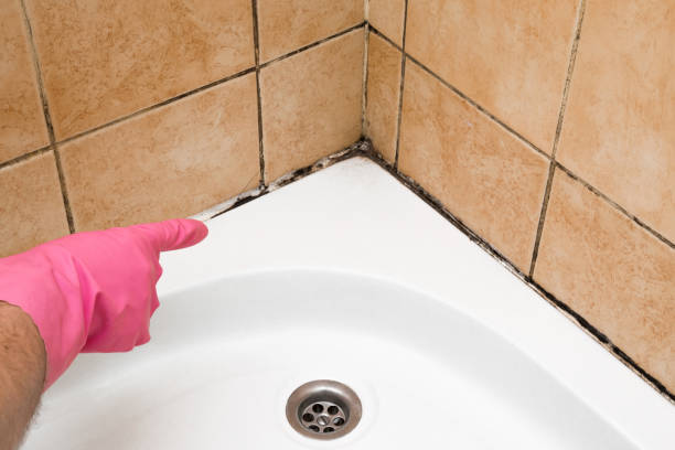 Best Mold Cleaning Services  in Garner, NC